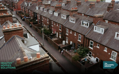 Healthy Homes Solutions and The Vulnerability Initiatives Bulletin – April 2025